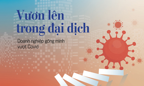 Tạp chí Kinh tế Việt Nam số 53