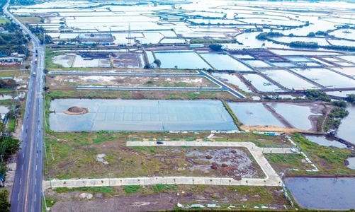 Bà Rịa- Vũng Tàu: Kiểm tra, xử lý nghiêm tình trạng rao bán đất nông nghiệp phân lô