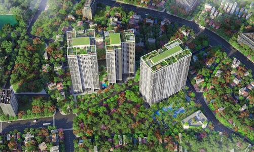 Khám phá không gian xanh độc đáo tại Feliz Homes