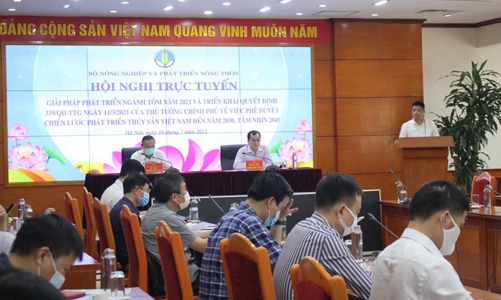 Nhiều bất cập, xuất khẩu tôm khó cán mốc 10 tỷ USD vào năm 2025?