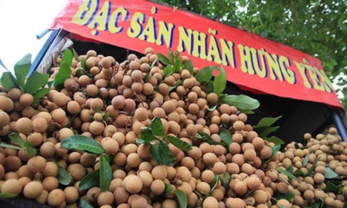 Thúc đẩy đàm phán nhanh cho quả nhãn Việt Nam sang thị trường Nhật Bản