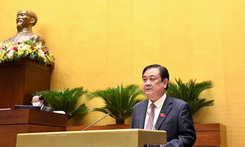 Chú trọng tạo sinh kế cho người dân, khuyến khích thanh niên về quê lập nghiệp