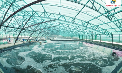 Cả 10 thành viên tập đoàn Việt Úc đạt chứng nhận doanh nghiệp nông nghiệp công nghệ cao