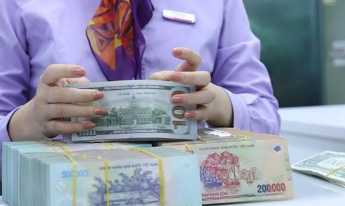 VND sẽ giảm giá bao nhiêu so với USD trong năm 2022?