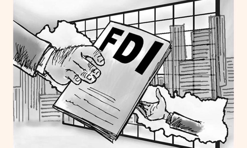Pandemic leaving mark on FDI