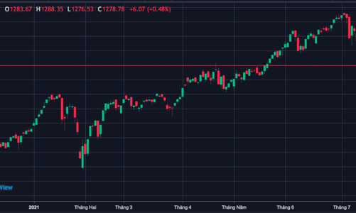 VN-Index quanh quẩn vùng 1.200 - 1.300 điểm hết tháng 7, bật tăng từ tháng 8 trở đi?
