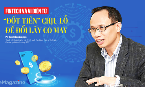 Fintech và ví điện tử: 