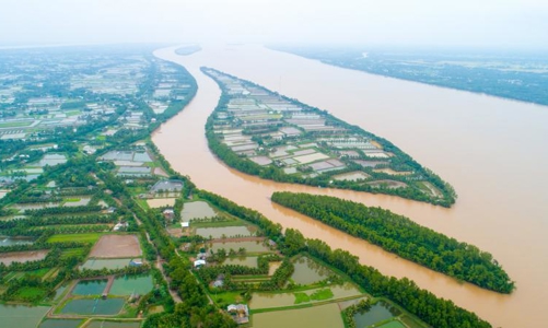 Trà Vinh được chuyển đổi 38,5ha đất trồng lúa sang đất phi nông nghiệp