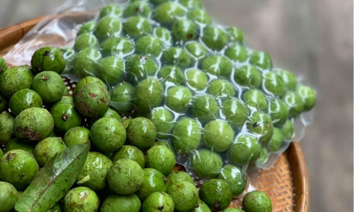 Doanh nghiệp Việt xuất khẩu 22 tấn sấu đông lạnh sang Australia