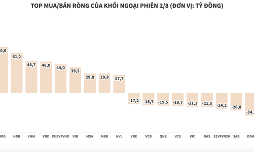 Khối ngoại tiếp tục mua ròng, tập trung gom SSI và HPG
