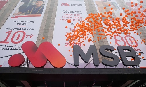 MSB dự kiến chia cổ tức bằng cổ phiếu tỷ lệ 30%