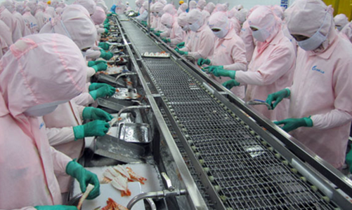 Covid-19 bùng phát đã 