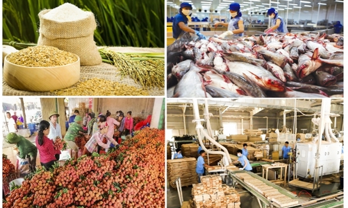 Xuất khẩu nông lâm thủy sản: Cuối năm còn nhiều gian nan
