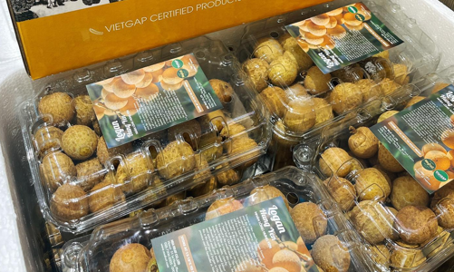 Một doanh nghiệp đưa 500kg nhãn Hưng Yên sang Singapore