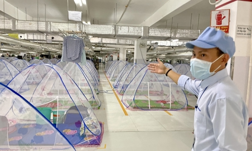 Thích ứng với đại dịch: Nhiều doanh nghiệp chủ động xoay chuyển tình thế 