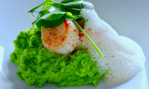 Sò điệp – món ăn của những đầu bếp Michelin