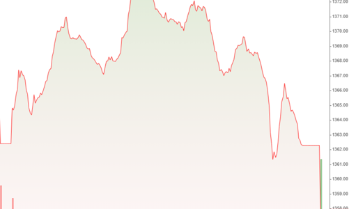 Đánh úp phiên chiều, VN-Index cắm đầu lao dốc