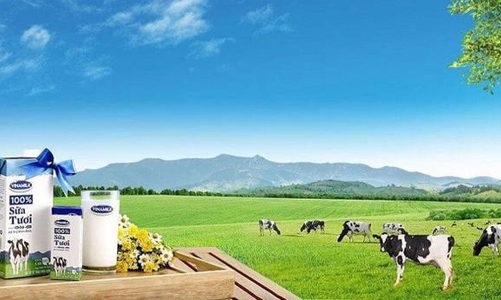 Vinamilk sắp chi 3.135 tỷ đồng trả cổ tức đợt 1/2021