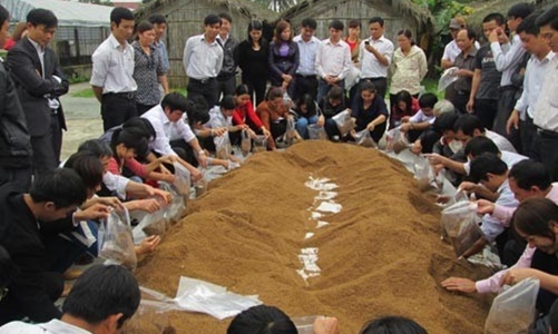 Cấp thiết đào tạo nghề để xây dựng lớp nông dân thế hệ mới