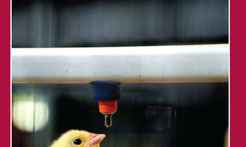 Vietnam Economic Times August 2021