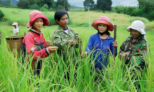 Giảm tỷ lệ hộ nghèo cả nước bình quân từ 1% - 1,5%/năm