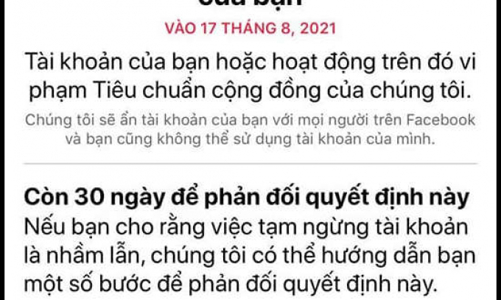 Dịch vụ 