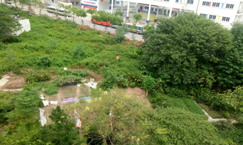 Kiên quyết chấm dứt dự án đầu tư chậm đưa đất vào sử dụng