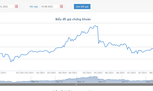 Gia đình Chủ tịch HPG chính thức nắm giữ hơn 35% vốn tại HPG