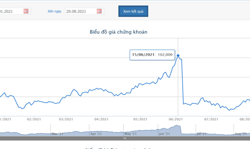 Mẹ của Tổng giám đốc VCI đăng ký bán hết 1,445 triệu cổ phiếu 