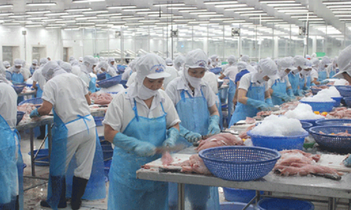Tăng “sức chiến đấu” cho chế biến thủy sản