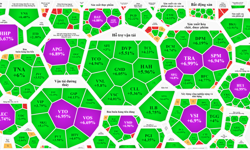 Cổ phiếu vừa và nhỏ bỏ xa blue-chips