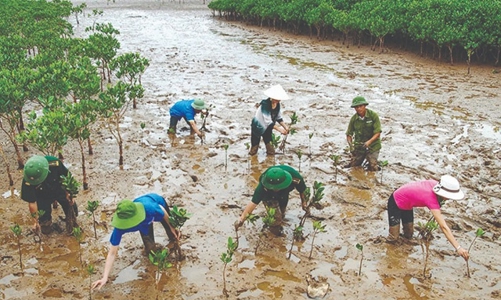 ADB tài trợ 60 triệu USD để Việt Nam cải thiện hạ tầng, thích ứng với biến đổi khí hậu