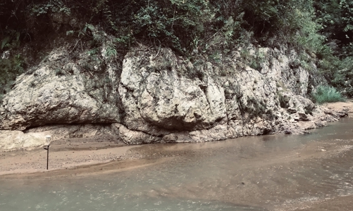 Dự án Thuỷ điện Sông Âm sẽ nộp tiền trồng rừng thay thế để triển khai bước tiếp theo