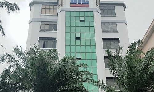 DIC Corp: 96% lượng cổ phiếu ESOP phát cho lãnh đạo và người nhà, giá bằng một nửa trên sàn