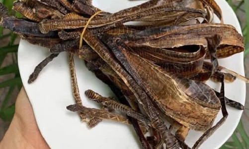 Bộ Y tế chưa cấp phép lưu hành bất kỳ sản phẩm có thành phần Địa Long hỗ trợ, điều trị Covid-19