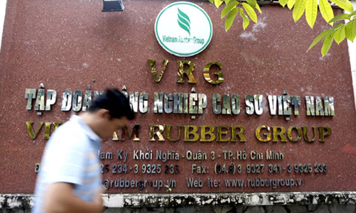 Một sếp của Tập đoàn Cao su 