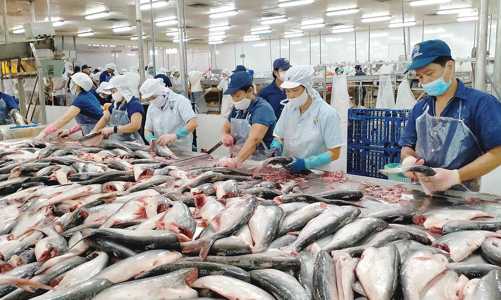 Tránh nguy cơ đổ vỡ chuỗi sản xuất thủy sản