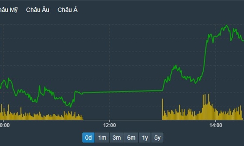 Trên trăm mã trần cứng, thị trường nóng bỏng tay