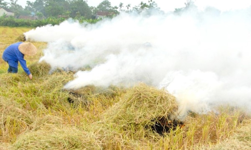 Bỏ phí cả trăm triệu tấn phụ phẩm nông nghiệp không khác gì ném đi hàng tỷ USD