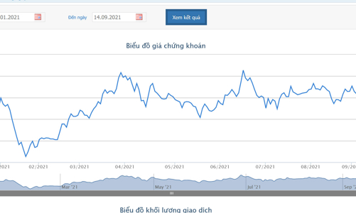 Lỗ luỹ kế lớn, cổ phiếu TTF tiếp tục bị kiểm soát 