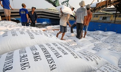Doanh nghiệp không dám ký thêm hợp đồng mới, xuất khẩu gạo khó hoàn thành mục tiêu