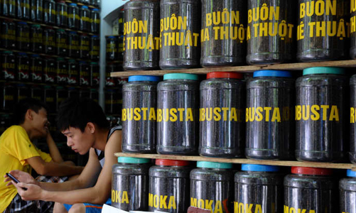 Giãn cách xã hội ở Việt Nam khiến giá cà phê thế giới tăng cao