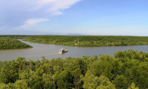 Sau tour thí điểm Cần Giờ, doanh nghiệp du lịch TP.HCM 