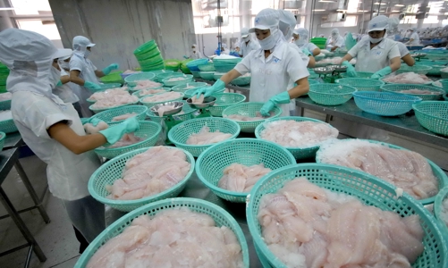 “Đứt gãy” các yếu tố đầu vào khiến doanh nghiệp thủy sản khó phục hồi sản xuất