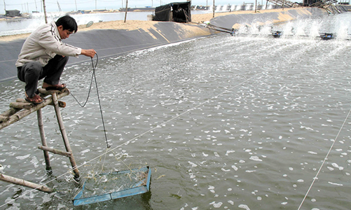 Tắc lưu thông nội địa, kẹt tại cửa khẩu tạo sức ép lớn lên doanh nghiệp