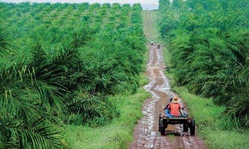 9 tháng, đầu tư ra nước ngoài tăng hơn 30%