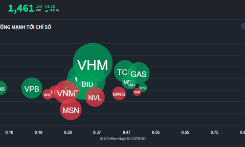 Dòng tiền thấp đột biến, trụ vẫn đỡ thị trường