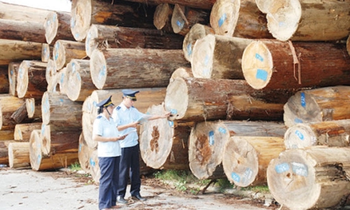 Sẵn sàng phục hồi sản xuất, các doanh nghiệp ngành gỗ tăng cường nhập khẩu nguyên liệu