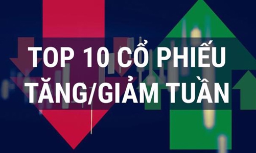 Dòng tiền luân chuyển, hàng loạt cổ phiếu giảm kịch sàn trong nhiều phiên