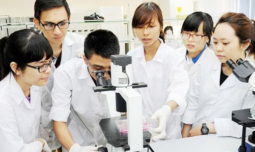 Tiêu chuẩn đối với công dân Việt Nam ra nước ngoài giảng dạy, học tập